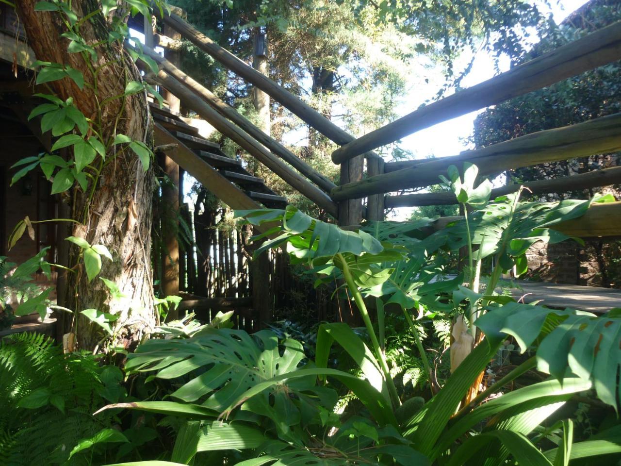 Cabanas Del Uru Colón Kültér fotó
